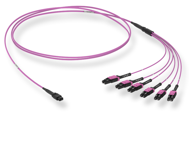MTP(12) TO LCD BREAKOUT ASSEMBLY OM4