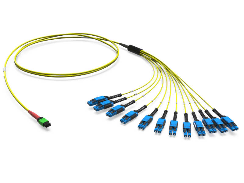 MTP(24) APC to LCD PPB Breakout Assembly OS2