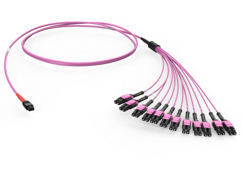 MTP(24) TO LCD BREAKOUT ASSEMBLY OM4