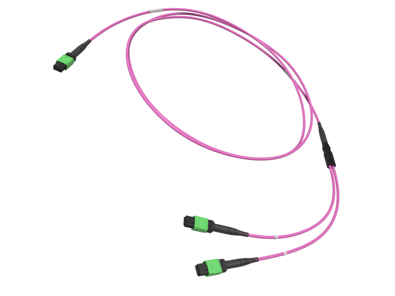 MTP(8) TO MTP(4) BREAKOUT ASSEMBLY OM4