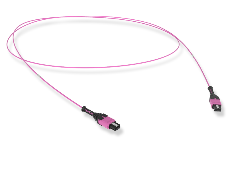 mpt pro(12) ppb patchcord om4