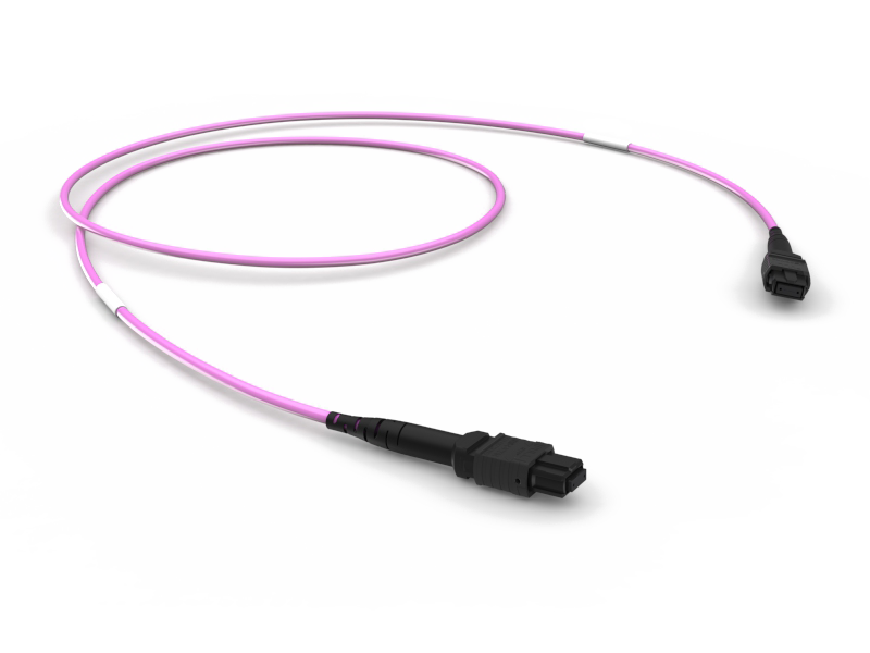 MTP(12) CONNECTION ASSEMBLY OM4