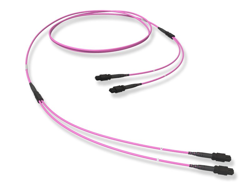 MTP(12) DOUBLE CONNECTION ASSEMBLY OM4