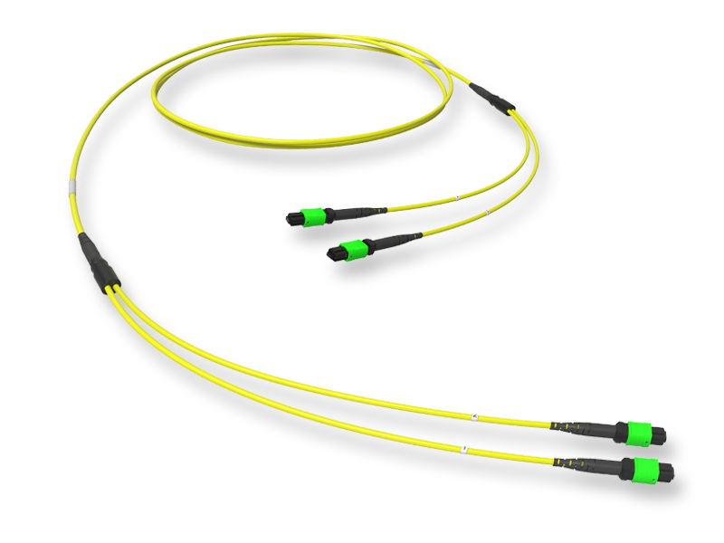 MTP(12) DOUBLE CONNECTION ASSEMBLY OS2