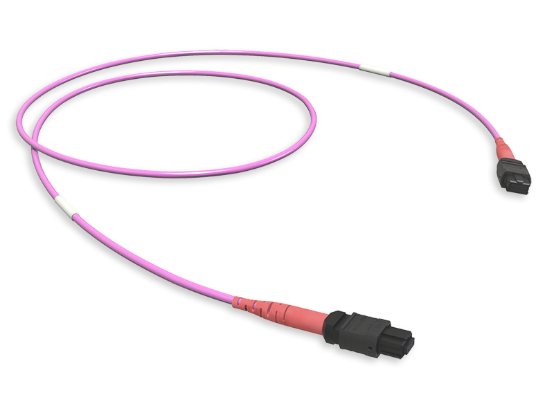 MTP(24)  CONNECTION ASSEMBLY OM4