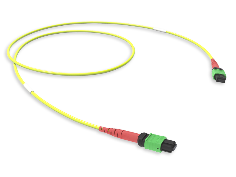 MTP(24)  CONNECTION ASSEMBLY OS2