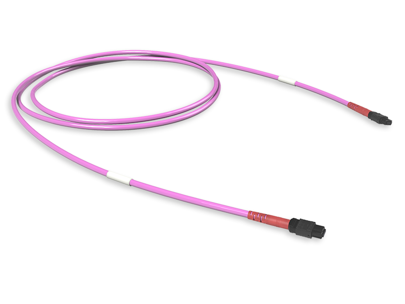 MTP(24) REINFORCED CONNECTION ASSEMBLY OM4