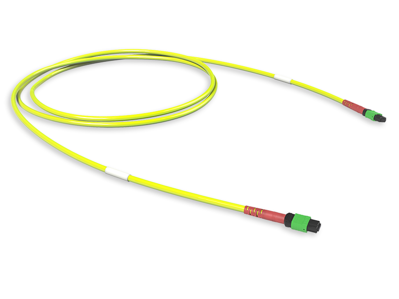 MTP(24) REINFORCED CONNECTION ASSEMBLY OS2