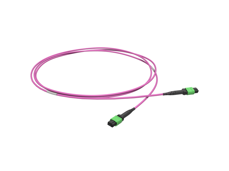 MTP(8) CONNECTION ASSEMBLY OM4